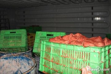 西安警方截获17吨假牛肉