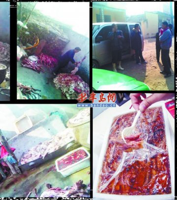 老板收购病死狐狸加工后当狗肉卖