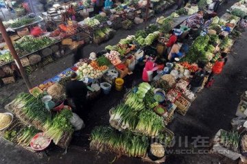 主要食品状况良好 水发竹笋、血旺、毛肚 只有七成合格