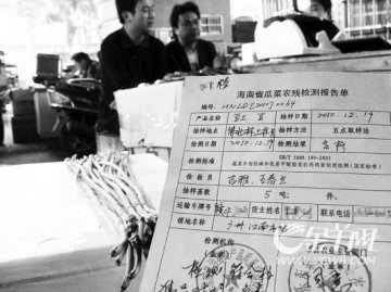 海南豇豆重上市附带合格“出生纸”