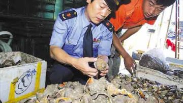 北京食品办：淡水螺类半生食或生食均易致病