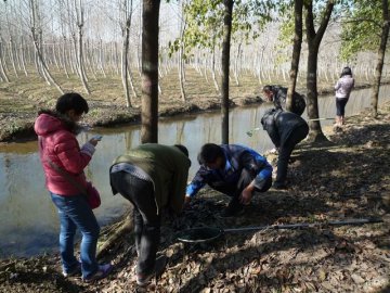 寄生虫病所专家开展上海医学贝类野外种群动态监测