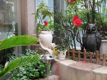 餐厅外很小的小花园，家属可以在这里吸烟