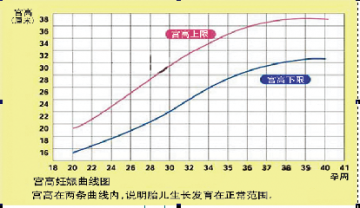追踪高危妊娠的“ 素 径”