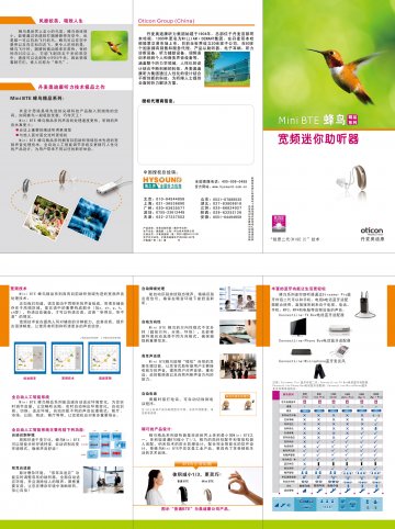 耳背式助听器（数字中功率)-(沪食药监械(准)字2013第2461191号)精美广告图欣赏