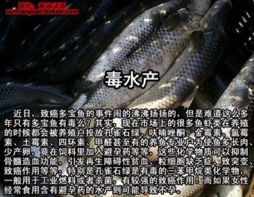 触目惊心！生活中的50种毒食品
