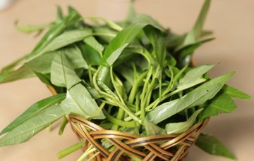 养生必知：最护肝的11种蔬菜