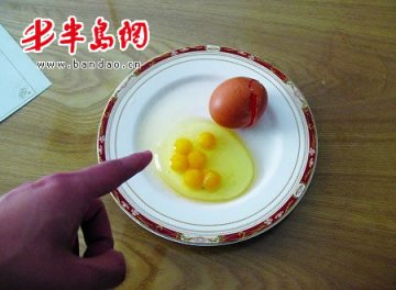 酒店厨师发现一枚鸡蛋含有六个蛋黄