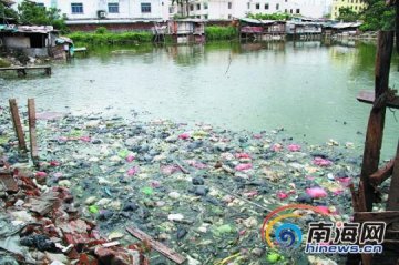 海口“垃圾鱼”被曝初检发现有致癌物质
