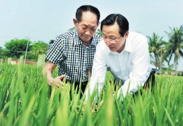 袁隆平韩长赋宣布第四期超级杂交稻攻关启动