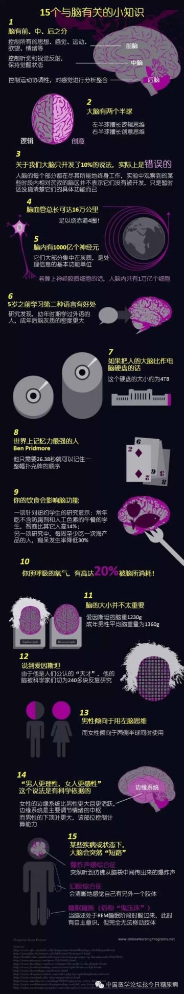 一图读懂：15个与大脑有关的有趣知识