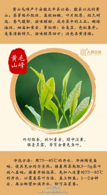 九张图教你喝春茶