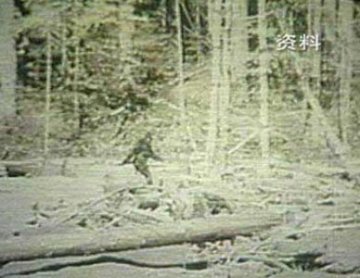 游客自称在神农架近距离发现野人