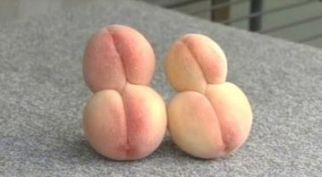 日核泄露疑致蔬菜变异