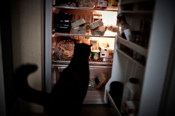 揭秘：暴食症患者的真实一天
