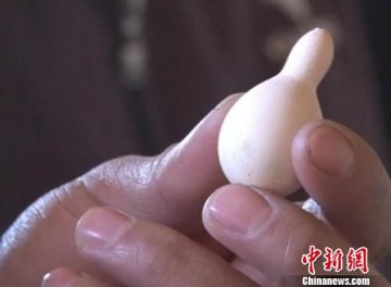 村民家中母鸡下出葫芦状鸡蛋