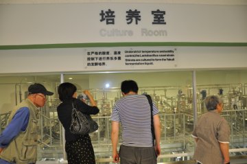 参观益生菌饮料生产工厂