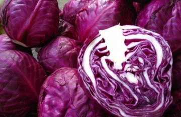 女人离不开的10种养生食物