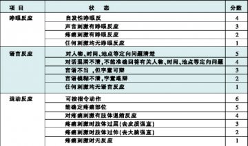 儿童胸痛、发热，心包炎作怪