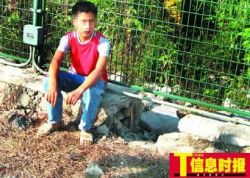 4名村童挖地道欲闯机场禁区捕鸟