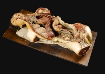 大英博物馆古代盗尸者展览