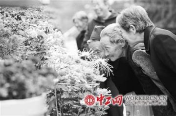 独生子女养老 无法顾全老人精神健康