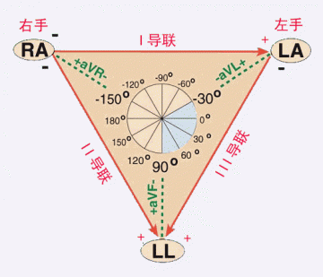 平均心电轴