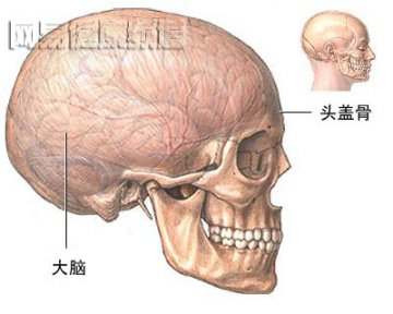 颅骨切开术