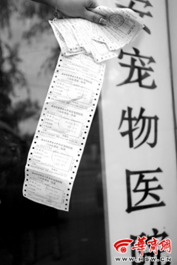 女士给宠物狗做流产花费2800元