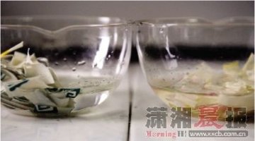 实验证实批发市场纸杯检出荧光绿