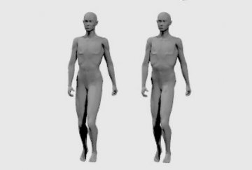 研究发现人们常把女性轮廓误判为男性