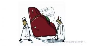 军医谈饮食保健：轻松“吃掉”脂肪肝