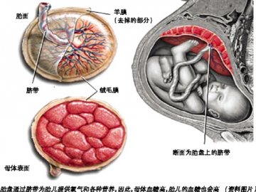 妊娠期糖尿病不可忽视