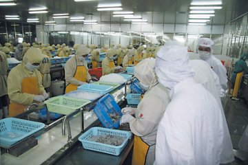 美国食品药品管理局官员即将来华实地考察