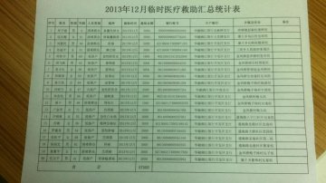 2013年12月临时医疗救助汇总统计表