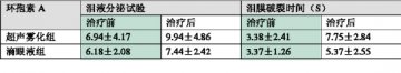 明亮双眸雾中来