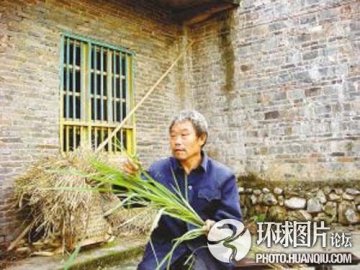 老人吃草34年