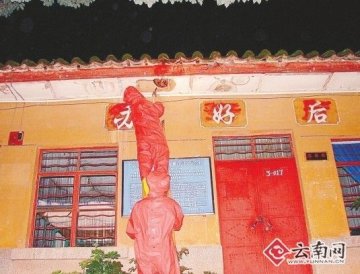 中学现巨型马蜂窝数名学生被蜇伤 1人被蜇昏迷
