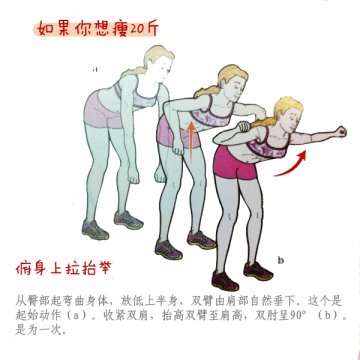 甩掉20斤or10斤or5斤 超有效徒手健身操