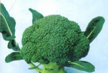 10种能防癌症的“超级”食物