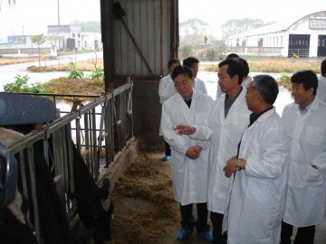 陈啸宏副部长带队督查河南、山西两省2011年食品安全工作