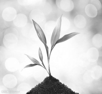 植物人也有意识