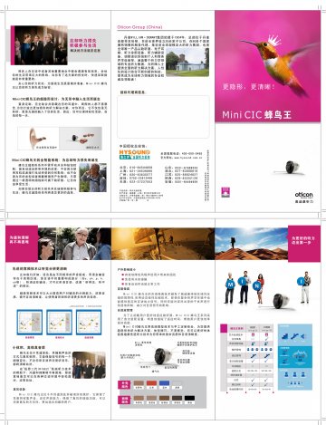 耳内式助听器-(沪食药监械(准)字2013第2461190号)精美广告图欣赏