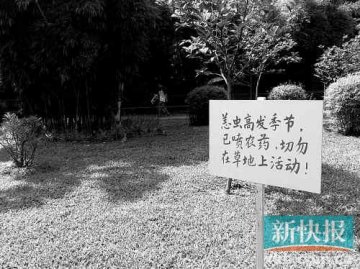 专家提醒：雨后放晴去草地当心恙虫
