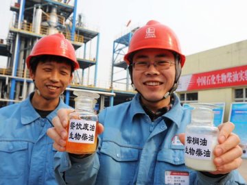 新一代生物柴油技术中试成功