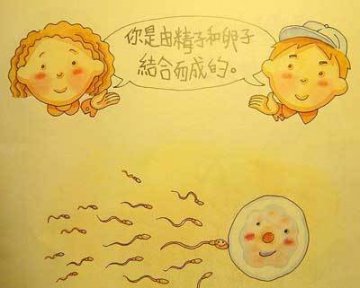 香港最受欢迎的儿童性教育图片