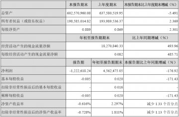 大通燃气2007年第三季度报告（节录）