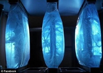 英科学家用细菌与DNA研制微型生物电脑