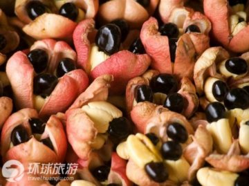 6道鲜为人知的“索命”美食