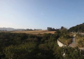 港将军澳留地建中医院
